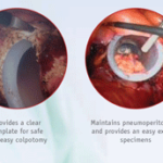 lina_mccartney_tube_uk-1